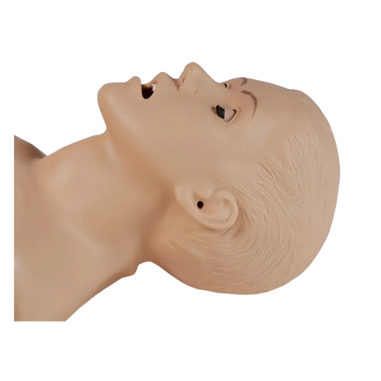 Mannequin pour enseignement des soins infirmiers SIMON® S205