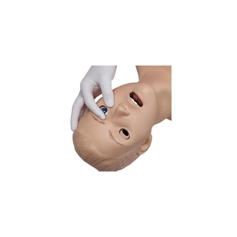 Mannequin pour enseignement des soins infirmiers SIMON® S205