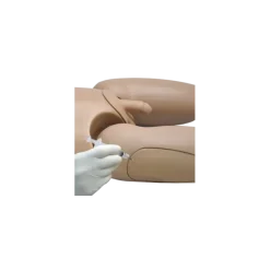 Mannequin pour enseignement des soins infirmiers SIMON® S205