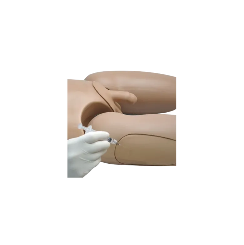 Mannequin pour enseignement des soins infirmiers SIMON® S205