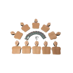 Mannequins AmbuMan School (lot de 10)