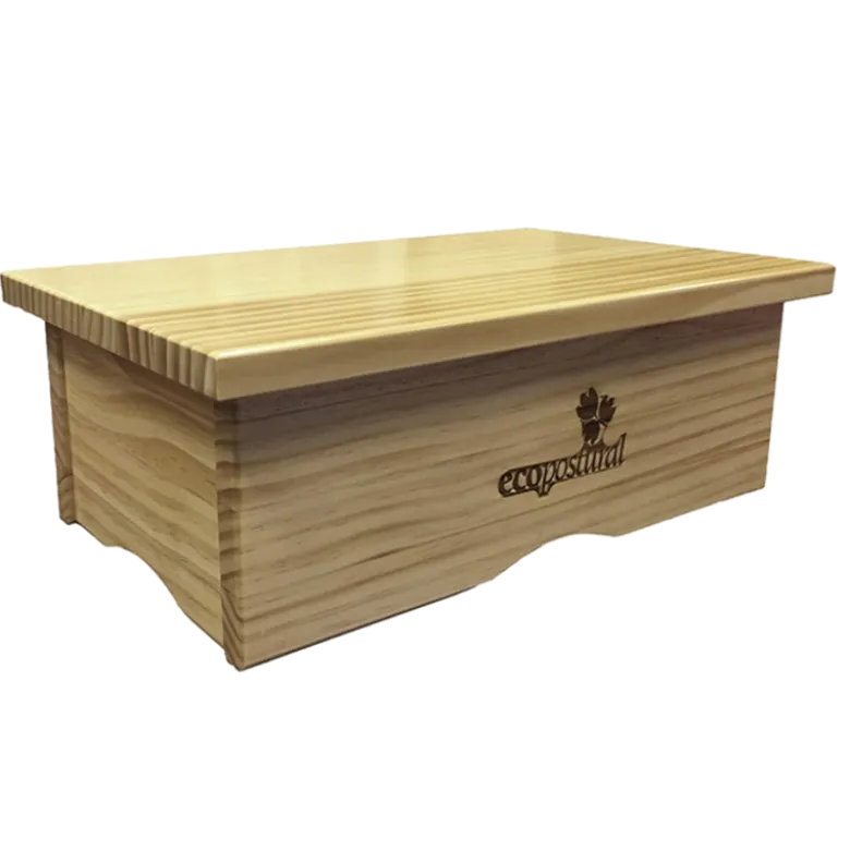 Marchepied médical Ecopostural en bois naturel