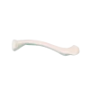 Modèle anatomique de clavicule droite Erler Zimmer