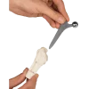 Modèle anatomique du joint de hanche (sain, malade, implant) Erler Zimmer