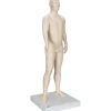 Modèle d'acupuncture - corps masculin