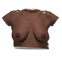 Modèle de palpation mammaire 3B Scientific L51