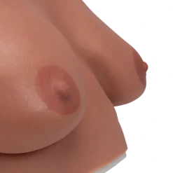 Modèle de palpation mammaire 3B Scientific L51