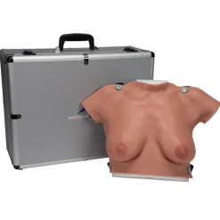 Modèle de palpation mammaire 3B Scientific L51