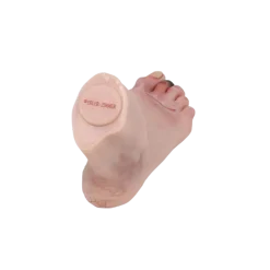 Modèle de pied blessé avec syndrome du pied diabétique Erler Zimmer