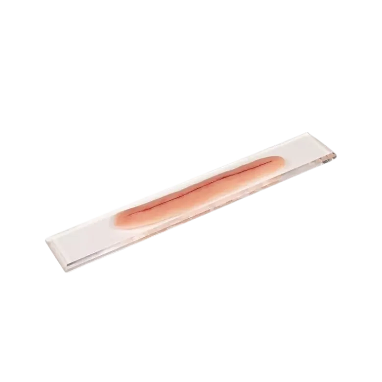 Modèle de plaie chirurgicale non suturée Erler Zimmer