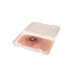 Modèle de plaie décubitus sacré non traité Erler Zimmer