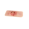 Modèle de plaie décubitus sacré nettoyé Erler Zimmer