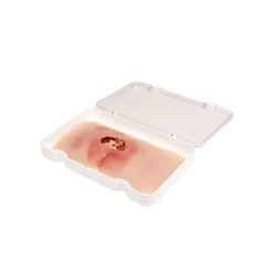 Modèle de plaie décubitus sacré nettoyé Erler Zimmer