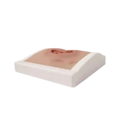 Modèle de plaie décubitus sacré nettoyé Erler Zimmer - Avec support
