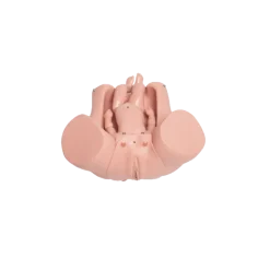 Modèle de simulation d'accouchement