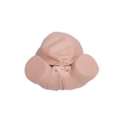 Modèle de simulation d'accouchement