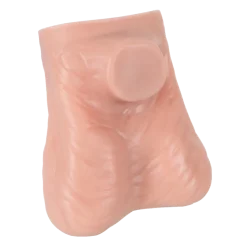 Modèle des testicules 3B Scientific L60