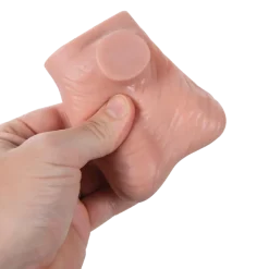 Modèle des testicules 3B Scientific L60