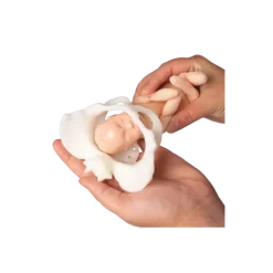 Modèle d'un bassin miniature avec poupée de naissance Erler Zimmer