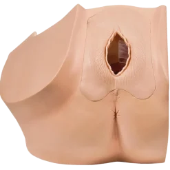 Modèle gynécologique P53 - 3B Smart Anatomy