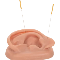Oreilles pour acupuncture (pack de 2)