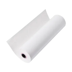 Papier thermique pour bladder scanner AvantSonic Z3