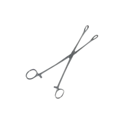 Pince Foerster droite en inox - 24 cm