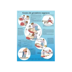 Planche anatomique - Les gestes de premières urgences