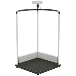 Plateforme de pesée SECA 645 sans fil - Classe III
