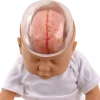 Poupée de démonstration du bébé secoué 3B W43117