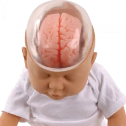 Poupée de démonstration du bébé secoué 3B W43117