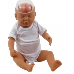 Poupée de démonstration du bébé secoué 3B W43117