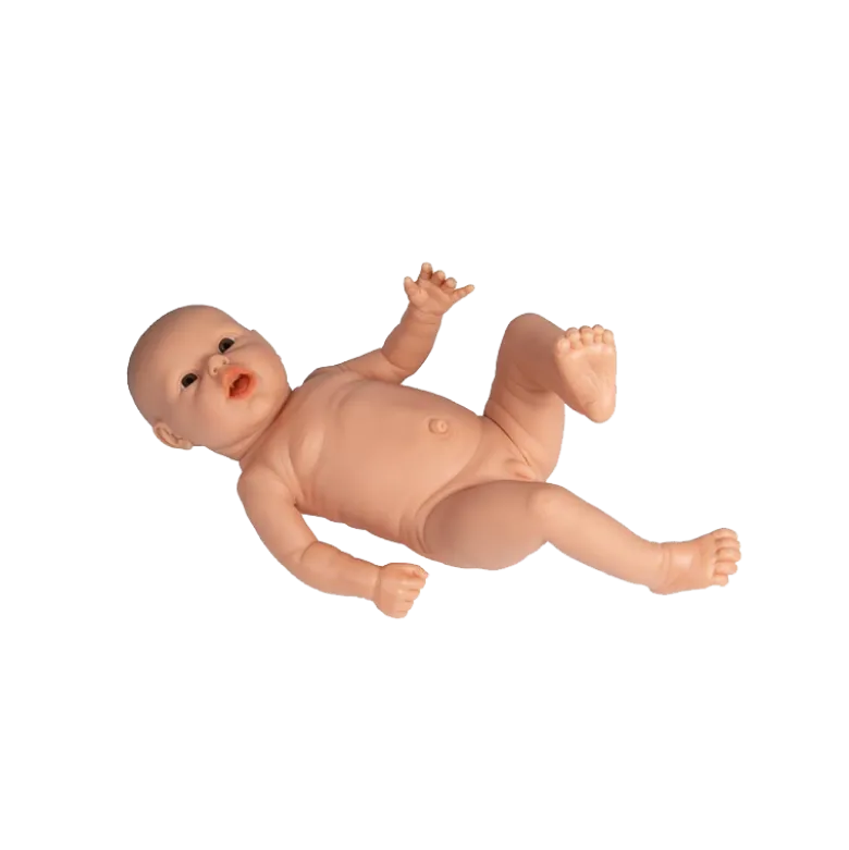 Poupée de démonstration masculine pour cours prénataux