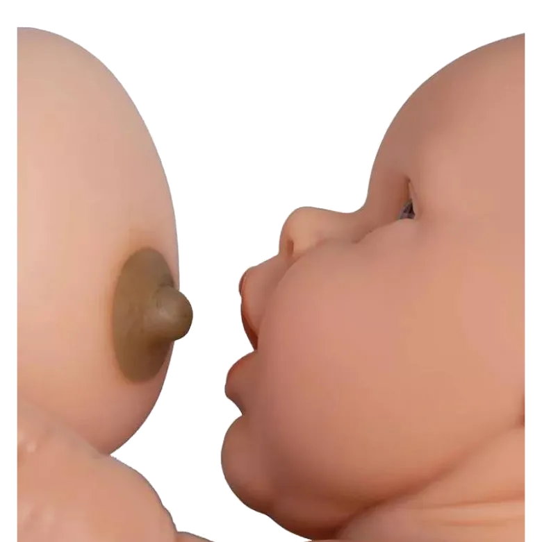 Poupée de démonstration masculine pour cours prénataux