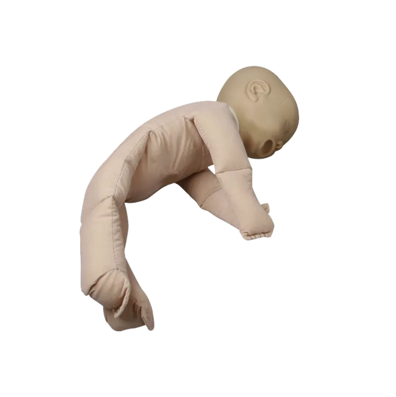 Poupée de démonstration sans placenta