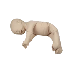 Poupée de démonstration sans placenta