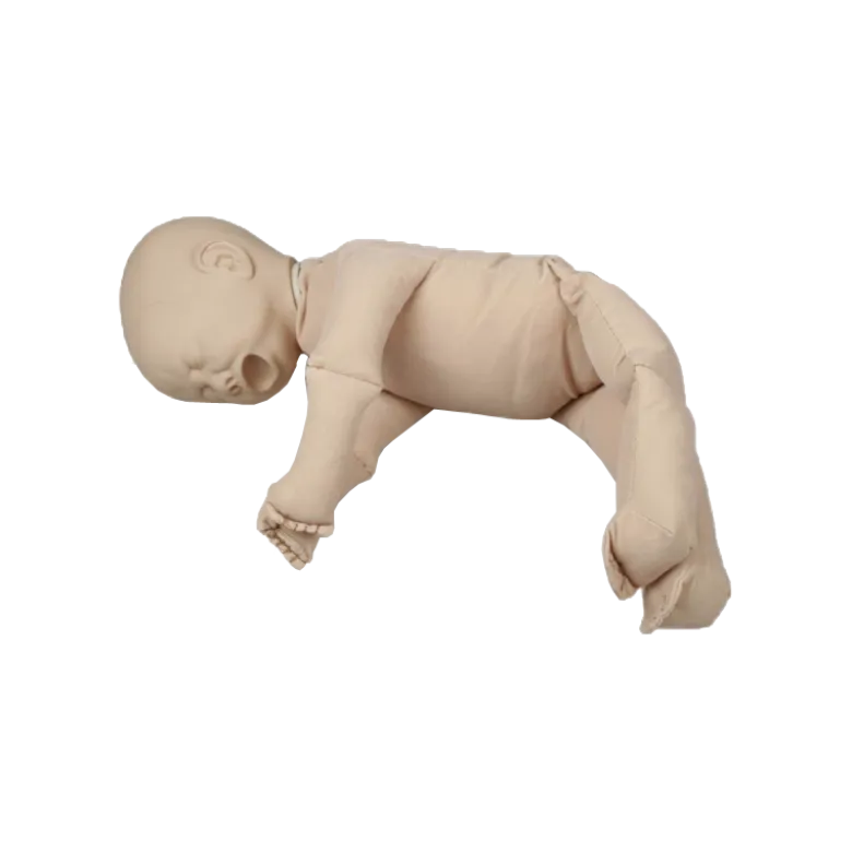 Poupée de démonstration sans placenta