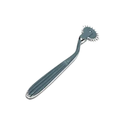 Roue de dentée de Wartenberg / Pinwheel