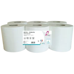 Rouleaux de papier essuie-mains dévidage central Global Hygiène Ecolabel 20 x 30 cm (lot de 6)