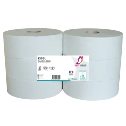 Rouleaux de papier toilette Global Hygiène Ecolabel 380 m (carton de 6)
