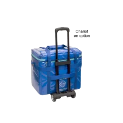 Sac isotherme Cool Elite bags