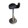 Selle de Pauchet