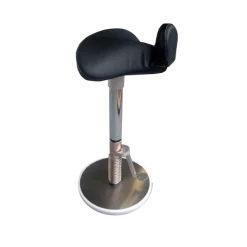 Selle de Pauchet