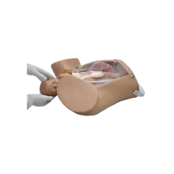 Simulateur d'accouchement Obstetric Susie® S500.PK.L