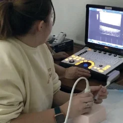 Simulateur d'échographie de nerf Erler Zimmer SonoEz