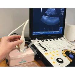 Simulateur d'échographie de vaisseau sanguin Erler Zimmer SonoEz