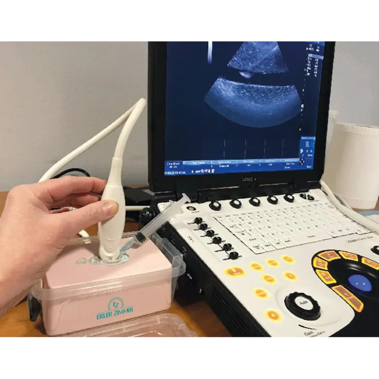 Simulateur d'échographie de vaisseau sanguin Erler Zimmer SonoEz