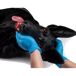 Simulateur de chien de travail militaire Erler Zimmer K9 Marshal