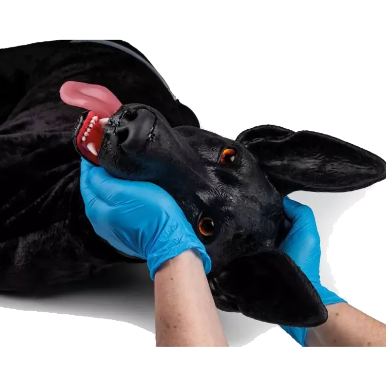 Simulateur de chien de travail militaire Erler Zimmer K9 Marshal