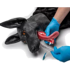 Simulateur de chien de travail militaire Erler Zimmer K9 Marshal